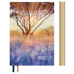 Ежедневник недатированный "СВЕТ СКВОЗЬ ВЕТВИ" 146х211мм, 160л, кремовый блок (Escalada)
