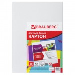 Набор белого картона А4 25 листов, мелованный (Brauberg)