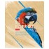 Тетрадь А5, 80л, клетка, скоба, мелованный картон, "Birds" (Hatber)