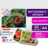 Фотобумага для струйной печати А4, 200г/м2, двусторонняя, матовая, 50л/п (Brauberg)