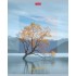 Тетрадь А5, 80л, клетка, скоба, мелованный картон, "Impressions" (Hatber)