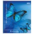 Тетрадь А5, 96л, клетка, скоба, поля, мелованный картон "Colour" (КФОБ)