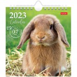 Календарь-домик 2023г, "Post. Год кролика", 160х170 мм, на гребне (Hatber)