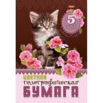 Набор цветной бумаги А4 5 цветов, голографическая, "Котенок в цветах" (Hatber)