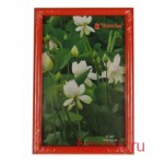 Фоторамка 21х30см "Pioneer", стекло, пластик, красный (DLK)