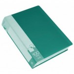 Папка с 100 файлами А4, карман, зеленый, 0,8мм (Бюрократ)