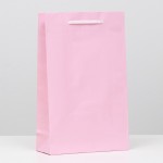 Пакет ламинированный "Розовый", 26,5 х 16,5 х 7 см