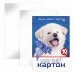 Набор белого картона А4 10 листов, мелованный, "Белый щенок" (Hatber)