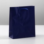 Пакет ламинированный "Синий", 12 х 15 х 5,5 см